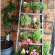 Illustration for article titled Repurposed Ladder Decor Ideas That You Will Love